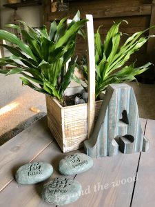 Read more about the article Decorating with plants