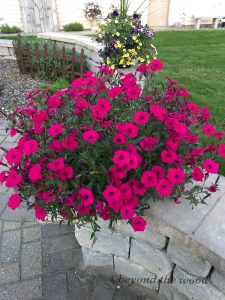 Read more about the article More window treatments and tip on where to buy flowers