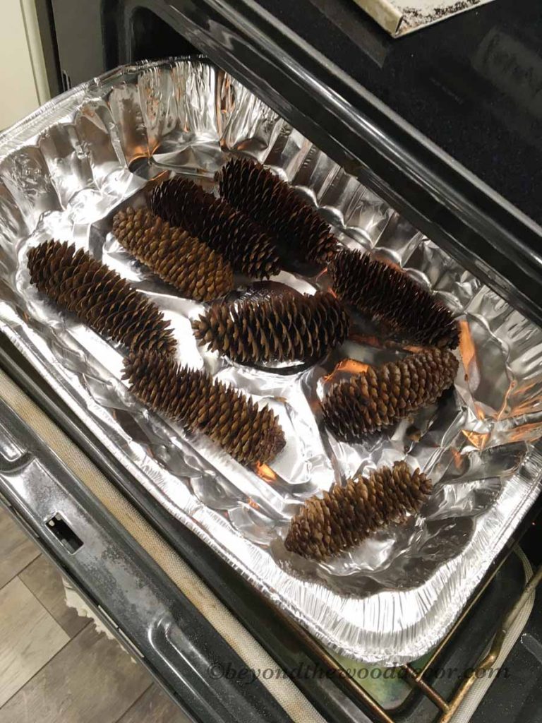Beyond the Wood Decorating with Pine Cones