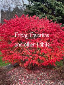Read more about the article Friday Favorites and other tidbits