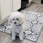 Beyond the Wood New Rugs